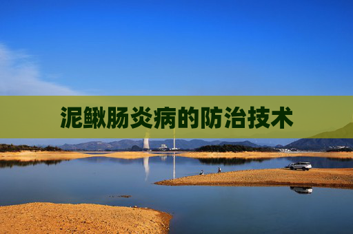 泥鳅肠炎病的防治技术