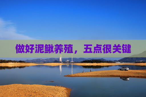做好泥鳅养殖，五点很关键