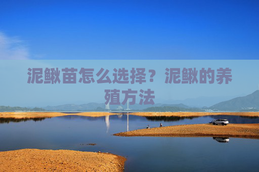 泥鳅苗怎么选择？泥鳅的养殖方法