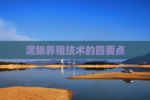 泥鳅养殖技术的四要点