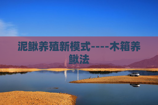 泥鳅养殖新模式----木箱养鳅法