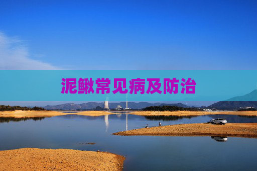 泥鳅常见病及防治