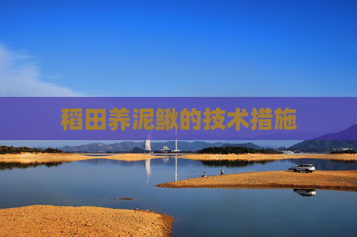 稻田养泥鳅的技术措施