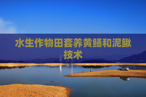 水生作物田套养黄鳝和泥鳅技术