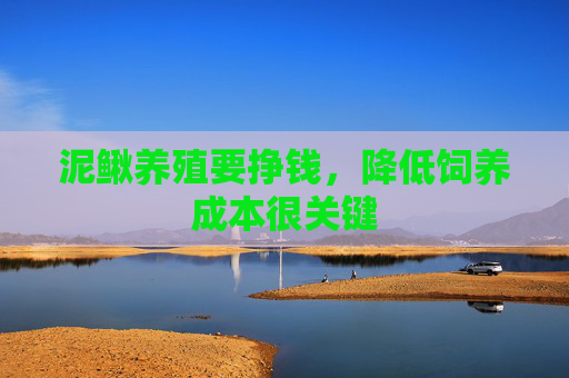 泥鳅养殖要挣钱，降低饲养成本很关键