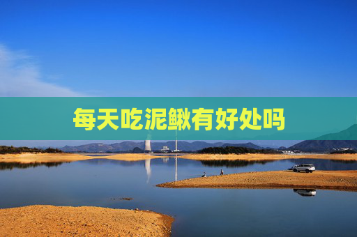 每天吃泥鳅有好处吗