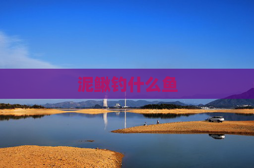 泥鳅钓什么鱼 泥鳅钓什么鱼