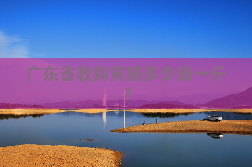 广东省收购黄鳝多少钱一斤？