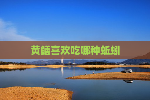 黄鳝喜欢吃哪种蚯蚓
