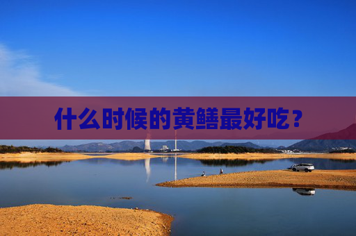 什么时候的黄鳝最好吃？