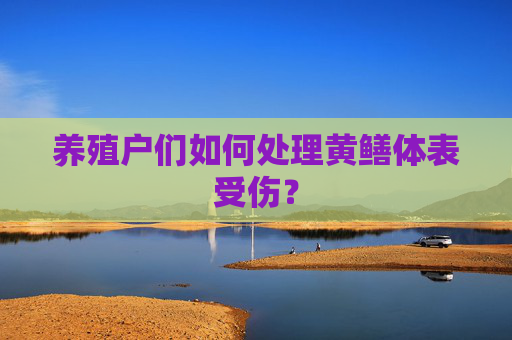 养殖户们如何处理黄鳝体表受伤？