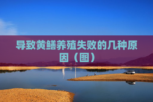 导致黄鳝养殖失败的几种原因（图）