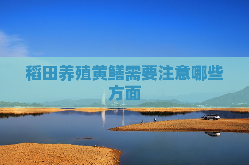 稻田养殖黄鳝需要注意哪些方面