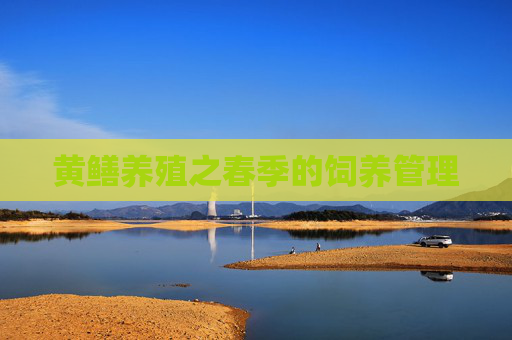 黄鳝养殖之春季的饲养管理