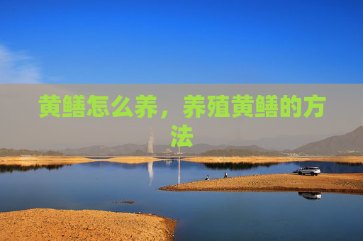 黄鳝怎么养，养殖黄鳝的方法