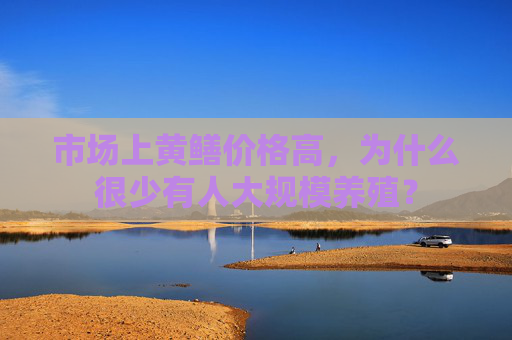 市场上黄鳝价格高，为什么很少有人大规模养殖？
