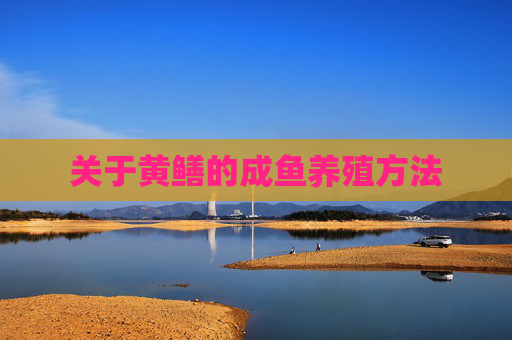 关于黄鳝的成鱼养殖方法