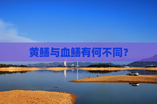 黄鳝与血鳝有何不同？