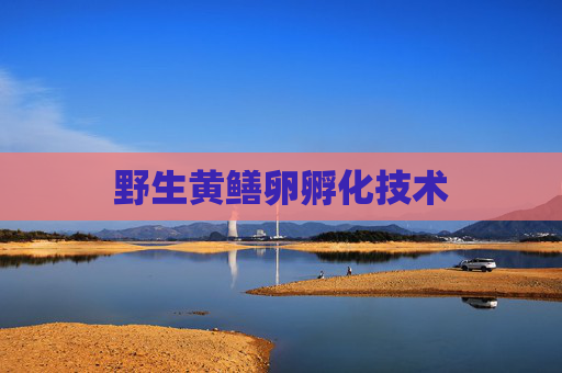 野生黄鳝卵孵化技术