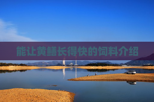 能让黄鳝长得快的饲料介绍