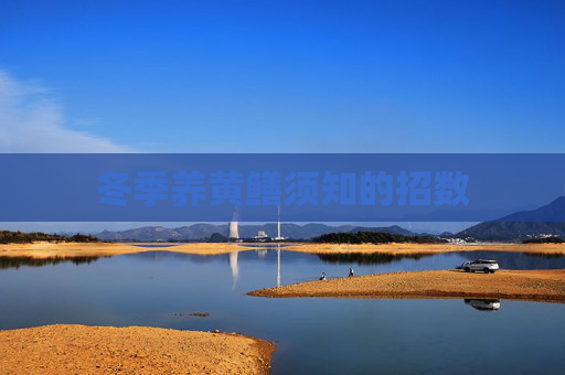 冬季养黄鳝须知的招数