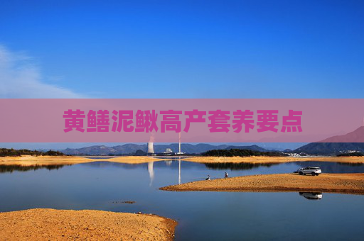 黄鳝泥鳅高产套养要点