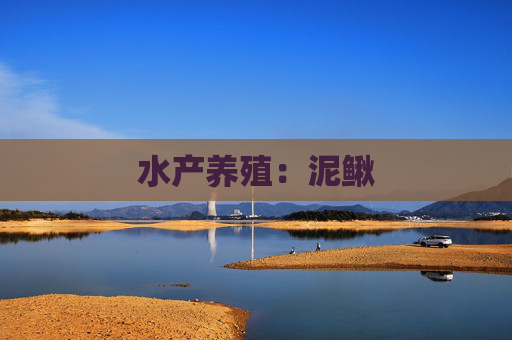 水产养殖：泥鳅