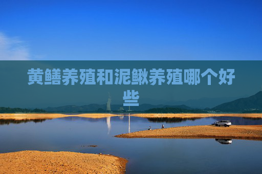 黄鳝养殖和泥鳅养殖哪个好些