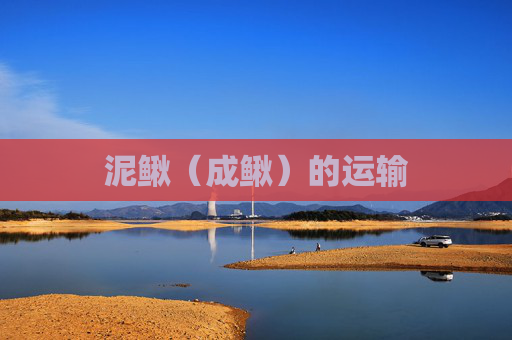 泥鳅（成鳅）的运输