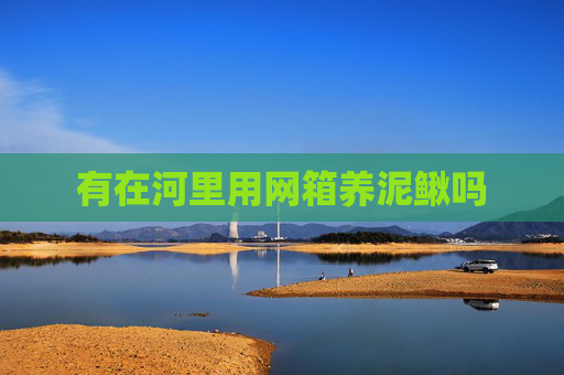 有在河里用网箱养泥鳅吗 有在河里用网箱养泥鳅吗