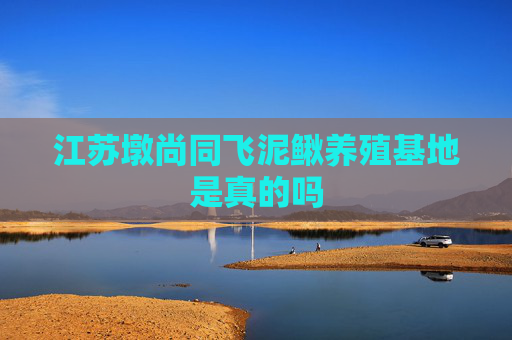 江苏墩尚同飞泥鳅养殖基地是真的吗