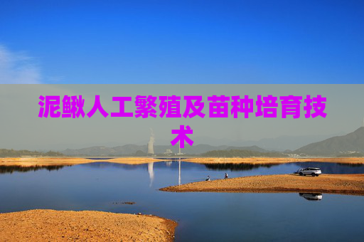 泥鳅人工繁殖及苗种培育技术