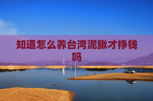 知道怎么养台湾泥鳅才挣钱吗 知道怎么养台湾泥鳅才挣钱吗