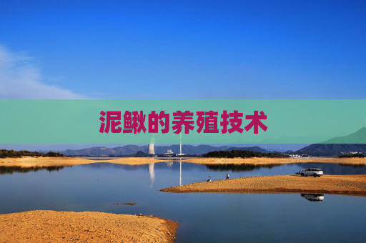 泥鳅的养殖技术