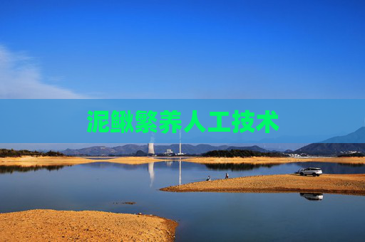 泥鳅繁养人工技术
