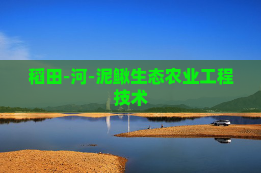 稻田-河-泥鳅生态农业工程技术