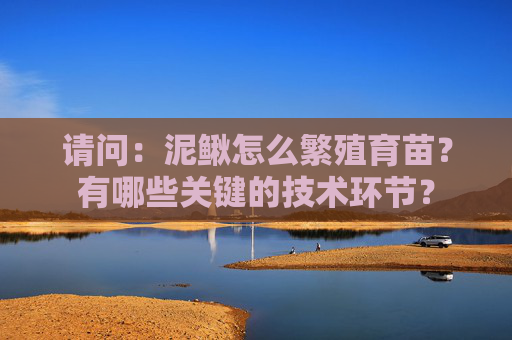 请问：泥鳅怎么繁殖育苗？有哪些关键的技术环节？
