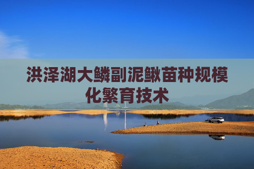洪泽湖大鳞副泥鳅苗种规模化繁育技术