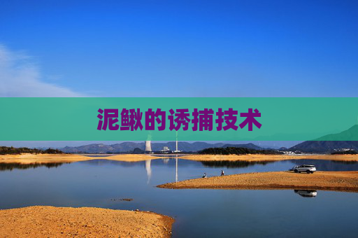 泥鳅的诱捕技术