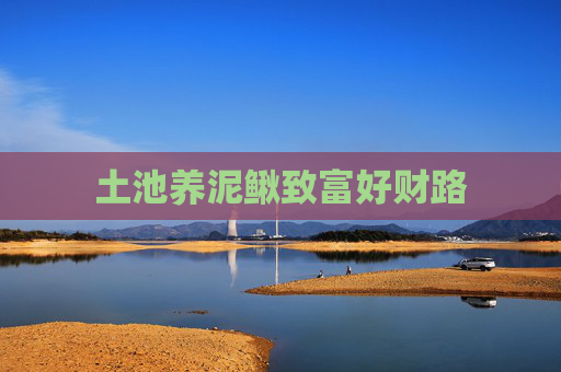 土池养泥鳅致富好财路