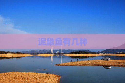 泥鳅鱼有几种 泥鳅鱼有几种