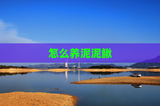怎么养泥泥鳅