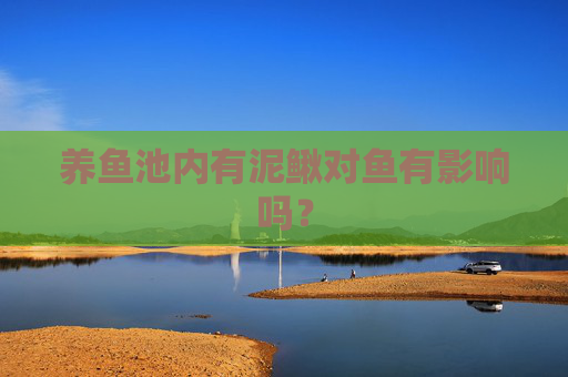 养鱼池内有泥鳅对鱼有影响吗？