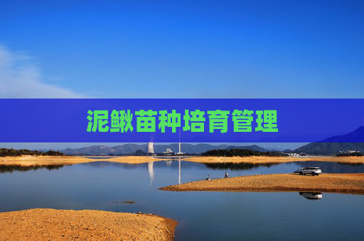 泥鳅苗种培育管理