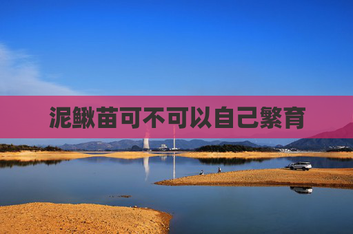 泥鳅苗可不可以自己繁育 泥鳅苗可不可以自己繁育
