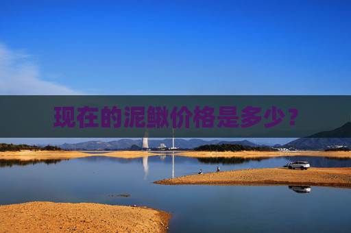 现在的泥鳅价格是多少? 现在的泥鳅价格是多少?