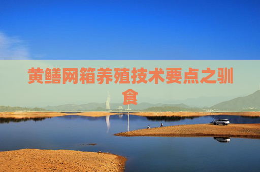 黄鳝网箱养殖技术要点之驯食