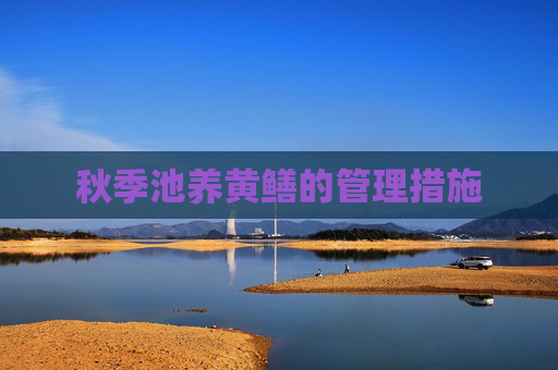 秋季池养黄鳝的管理措施