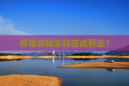 养殖黄鳝怎样变成野生？