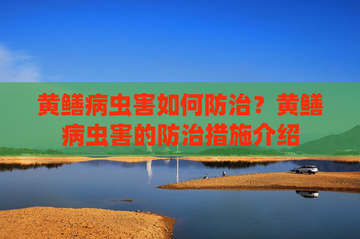 黄鳝病虫害如何防治？黄鳝病虫害的防治措施介绍